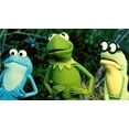 thumbnail image 3 of Kermit's Swamp Years / Muppets From Space / The Muppets Take Manhattan [DVD Box Set], 3 of 13