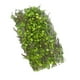 thumbnail image 1 of Vogacara Plant Simulation Model Scene DIY Modification Layout Diorama Decor Type3, 1 of 1