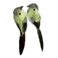 thumbnail image 3 of 2 piezas de pájaros de espuma con plumas artificiales con clip, realistas, artificiales macarrón verde, 3 of 9