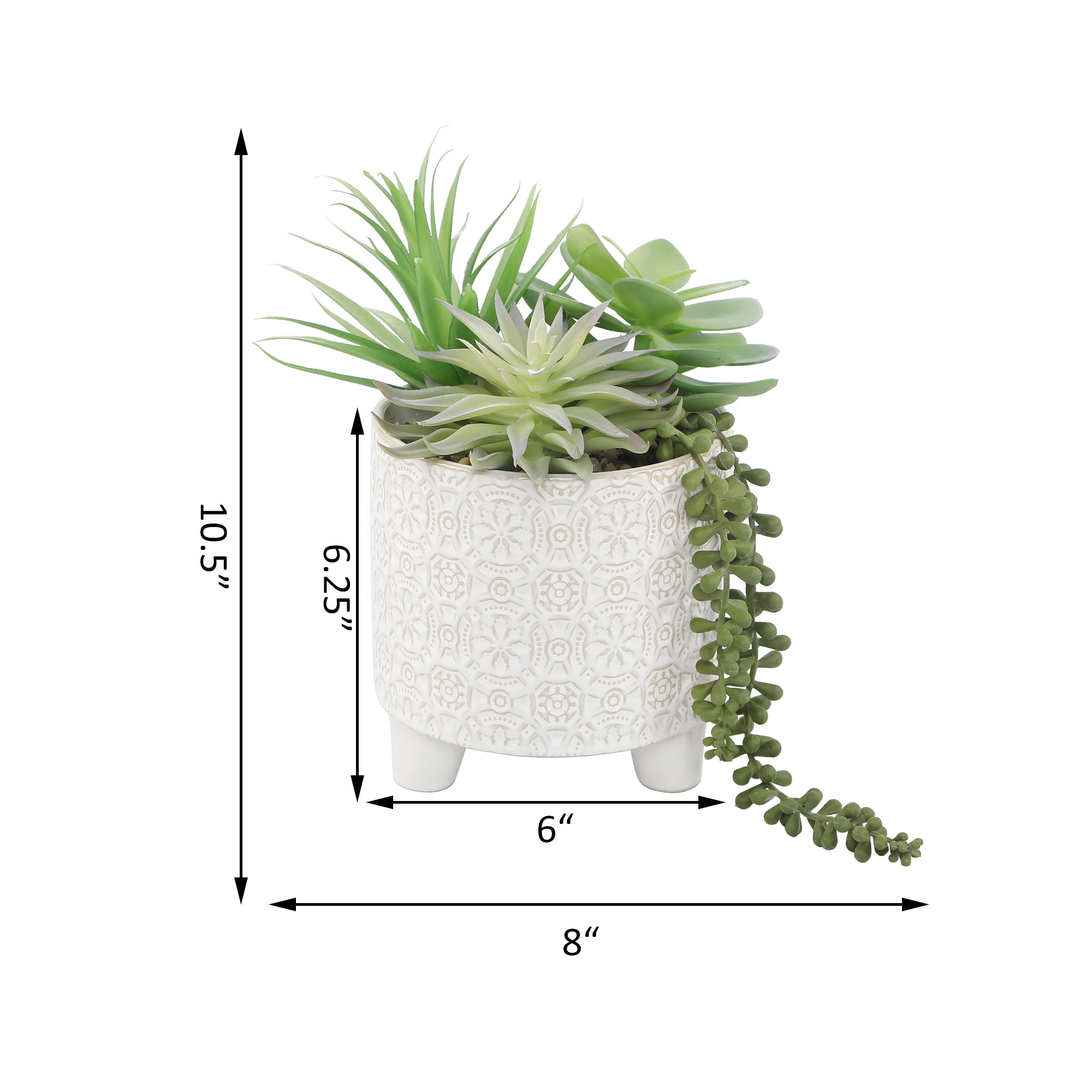 GN Succ mix in 6" Footed Ivory Catheral