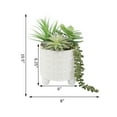 thumbnail image 2 of GN Succ mix in 6" Footed Ivory Catheral, 2 of 2