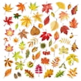 thumbnail image 2 of WREESH Maple Leaves Stickers 50pcs Drama Stickers Maple Leaves Merch, 2 of 8