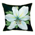thumbnail image 3 of Betsy Drake HJ704 Casablanca Lily Throw Pillow- 18 x 18 in., 3 of 4
