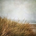 thumbnail image 3 of Poinski, Dianne 12x12 Black Modern Framed Museum Art Print Titled - Beach Grasses 4, 3 of 5