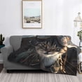 thumbnail image 2 of Disketp Pilot Cat In Vintage Plane Flannel Blankets - Thick and Warm Blanket for Winter, Soft Fuzzy Plush King Blanket for All Seasons-, 2 of 6