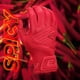 thumbnail image 2 of Guantes de Bateo Easton Youth Walk-Off Ethos Rojo Talla Pequeña, 2 of 6