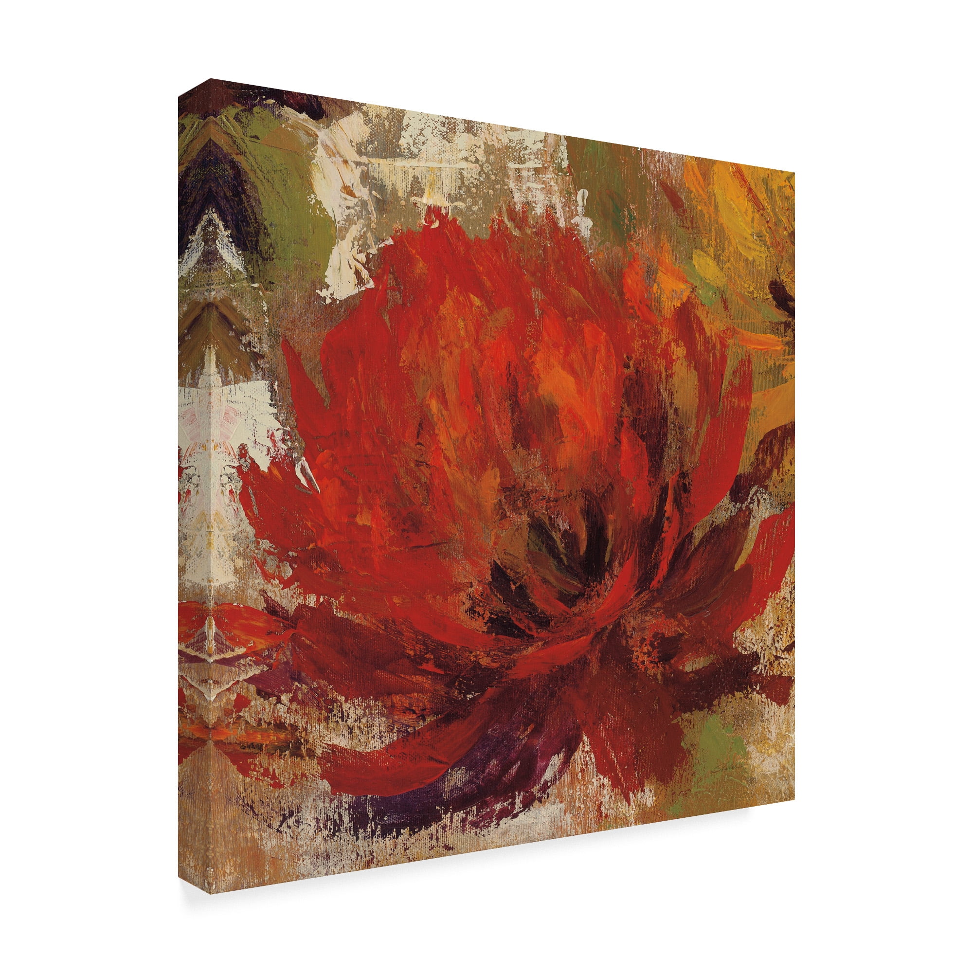 Trademark Fine Art 'Fiery Dahlias II Crop' Canvas Art by Silvia Vassileva