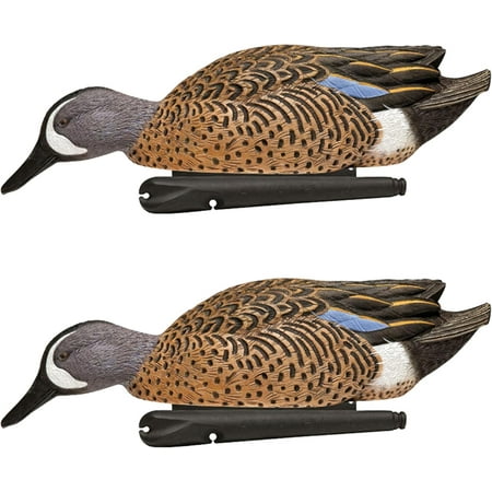 Avian X Topflight Blue-Winged Teal Duck Realistic Duck Decoy Set of 2