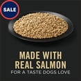 thumbnail image 2 of Puppy Classic Sensitive Stomach and Skin with Salmon and Rice Entree Wet Dog Food 13 oz., Case of 12, 2 of 2