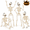 4bone color, variant on Halloween Skeletons 16" Posable Skeletons for Party Decoration Full Body Skeleton with Movable Joints Realistic Pumpkin Skeletons for Haunted House Graveyard Decor 4-Pack