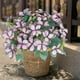 thumbnail image 4 of Uuiauoio 7-Head Butterfly Garden Decorations, Plastic Butterfly Ornaments Artificial Butterflies for Flower Bouquet Arrangements Crafts Outdoor Wall Patio Plant Yard Decor, 4 of 6