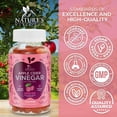 thumbnail image 5 of Apple Cider Vinegar Gummies 1000mg Per Serving - Sugar Free ACV Gummy Vitamins Supplement - Vitamin B12 & B6 for Energy - Digestion, Detox & Cleanse Support, Vegan, Gluten-Free, Non-GMO - 60 Gummies, 5 of 10