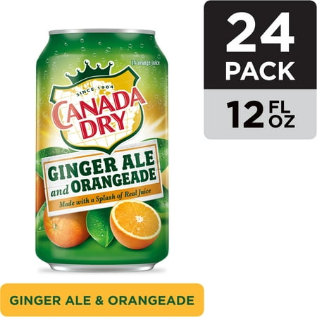 (2 Pack) Canada Dry Ginger Ale and Orangeade, 12 Fl Oz Cans, 12 (What's The Best Ginger Ale)