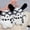2 pcs, variant on Cute Sanrio Pochacco Plush Doll Keychain, Bag Charm Gift