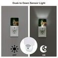 thumbnail image 3 of Pofeuu Squirrels Eating Peanuts On The Tree Print Night Lights Plug into Wall with Dusk-to-Dawn Light Sensor, LED Nightlight for Bathroom, Adult, Hallway-EU, 3 of 7