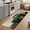 DarkGreen, variant on Small Door Mat Indoor Outdoor 15.7"x23.6",Green Coastal Absorbent Non Slip Entry Rug,Eucalyptus Leaves Summer Beach Starfish Low Profile Welcome Mat for Front/Side Door Apartment Entrance Bathroom
