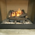 thumbnail image 2 of Bluegrass Living Decorative Concrete Pine Cones - Model# PINCN-2, 2 of 5