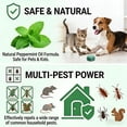 thumbnail image 6 of 12-Pack Natural Rodent Repellent Balls! Infused with peppermint and lemon oil, they effectively repel squirrels, rats, spiders & other pests. Safe, non-toxic, long-lasting & easy to use indoors and o, 6 of 9