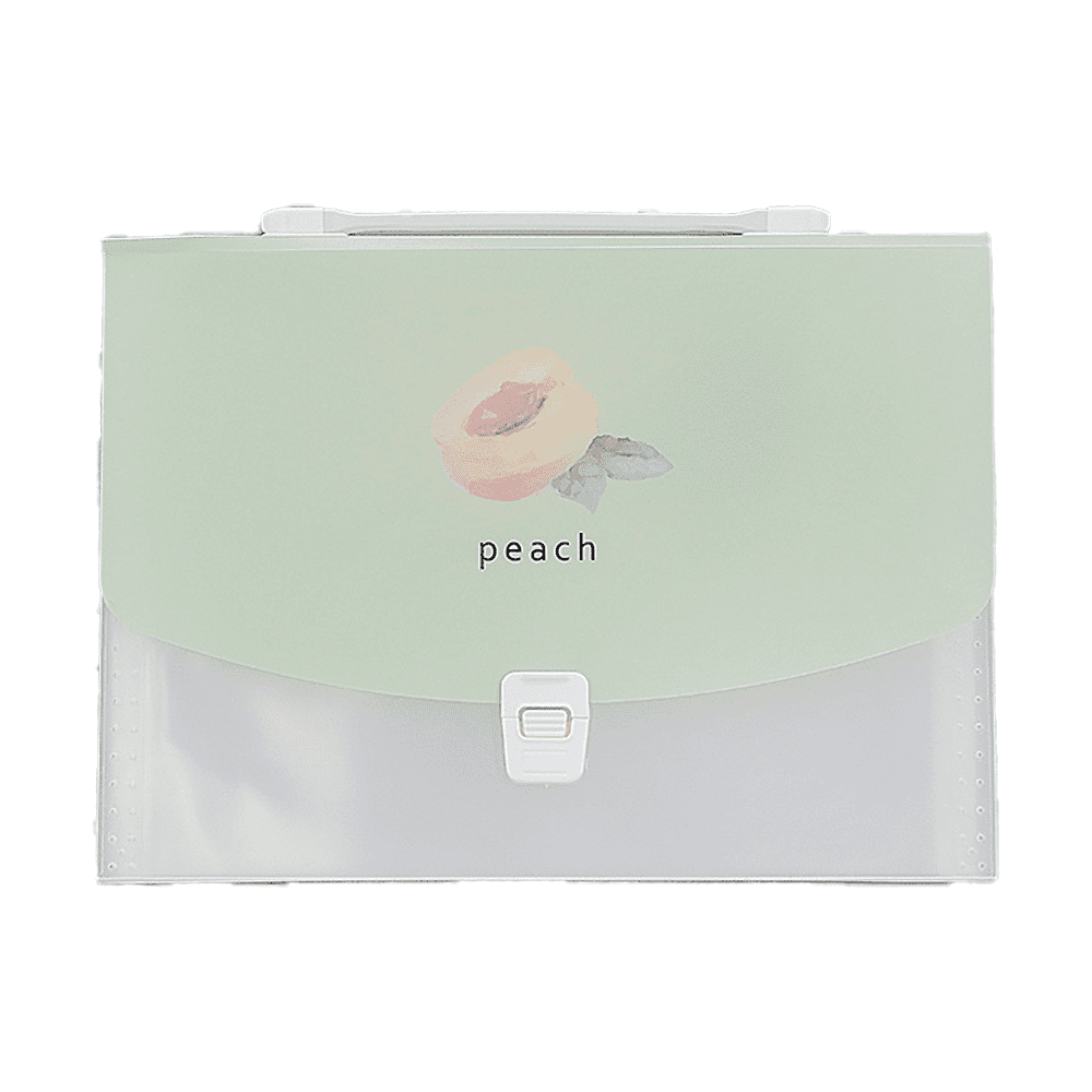 Pockets Expanding File Folder, A4 Document Organiser, Plastic Accordion