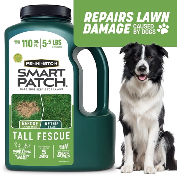 Pennington Smart Patch Tall Fescue Grass Seed Mix, for Sun to Moderate Shade