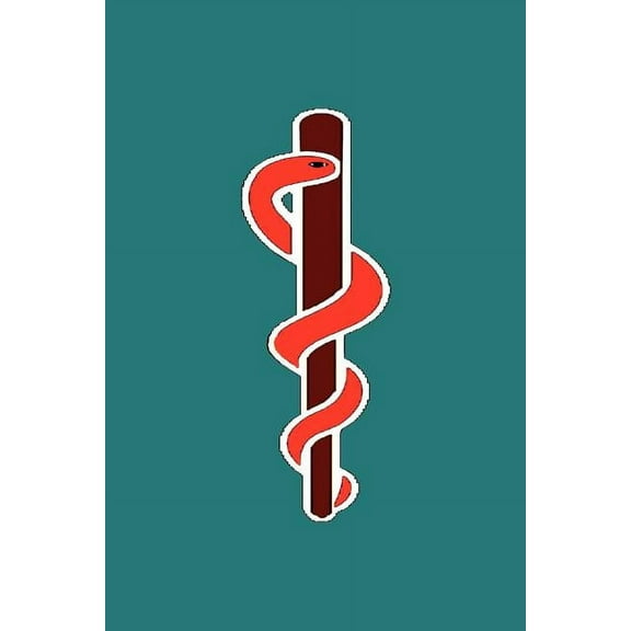 Energetics: An Introduction to the Therapeutic Use of Electromagnetic Energy (Paperback)