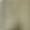 Army Green, variant on OHMZYZO Mens Jacket Casual Lightweight Waterproof Hooded Windbreaker Softshell Zip Up Coat Comfort Activities Outerwear with Pockets