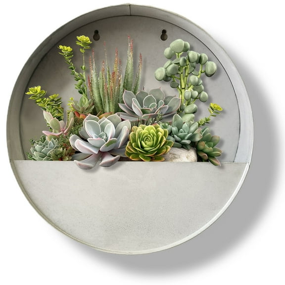Modern Home Round Living Wall Mounted Galvanized Steel/Zinc Succulent/Herb Planter - Indoor/Outdoor Living Art Potting Vessel Aged Zinc - Large 15" x
