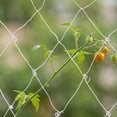 thumbnail image 4 of Plant Climbing Net Polyester Trellis Netting for Vegetable Garden Support and Vine Plant Growth Guidance, 4x8 Ft, 4 of 6