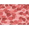 thumbnail image 1 of Ahgly Company Indoor Rectangle Patterned Light Coral Pink Area Rugs, 8' x 12', 1 of 6