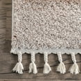 thumbnail image 5 of nuLOOM Kassidy Shaggy Contemporary Tassel Area Rug, 3' x 5', Blue, 5 of 9