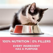 (2 pack) Purina ONE Plus, Healthy Kitten Formula, Dry Kitten Food, Chicken, 16 lb Bag