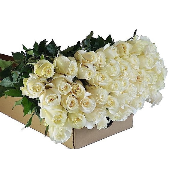 Kabloom Handpicked White Roses - 50 Count Bulk Flower Cut