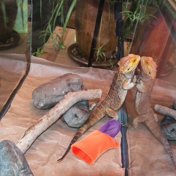 POPETPOP Cotton Reptile Costume with Unique Design for Bearded Dragon Comfort