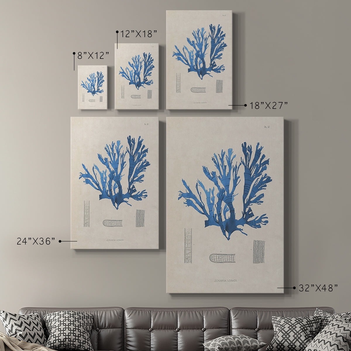 Blue Marine Algae IX Premium Gallery Wrapped Canvas - Ready to Hang