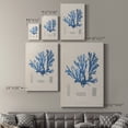thumbnail image 4 of Blue Marine Algae IX Premium Gallery Wrapped Canvas - Ready to Hang, 4 of 9