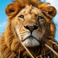 thumbnail image 6 of WYYP Waterproof Resistant Fabric 100% Polyester Fiber Table Cloth - Majestic Lion Design White, 6 of 8