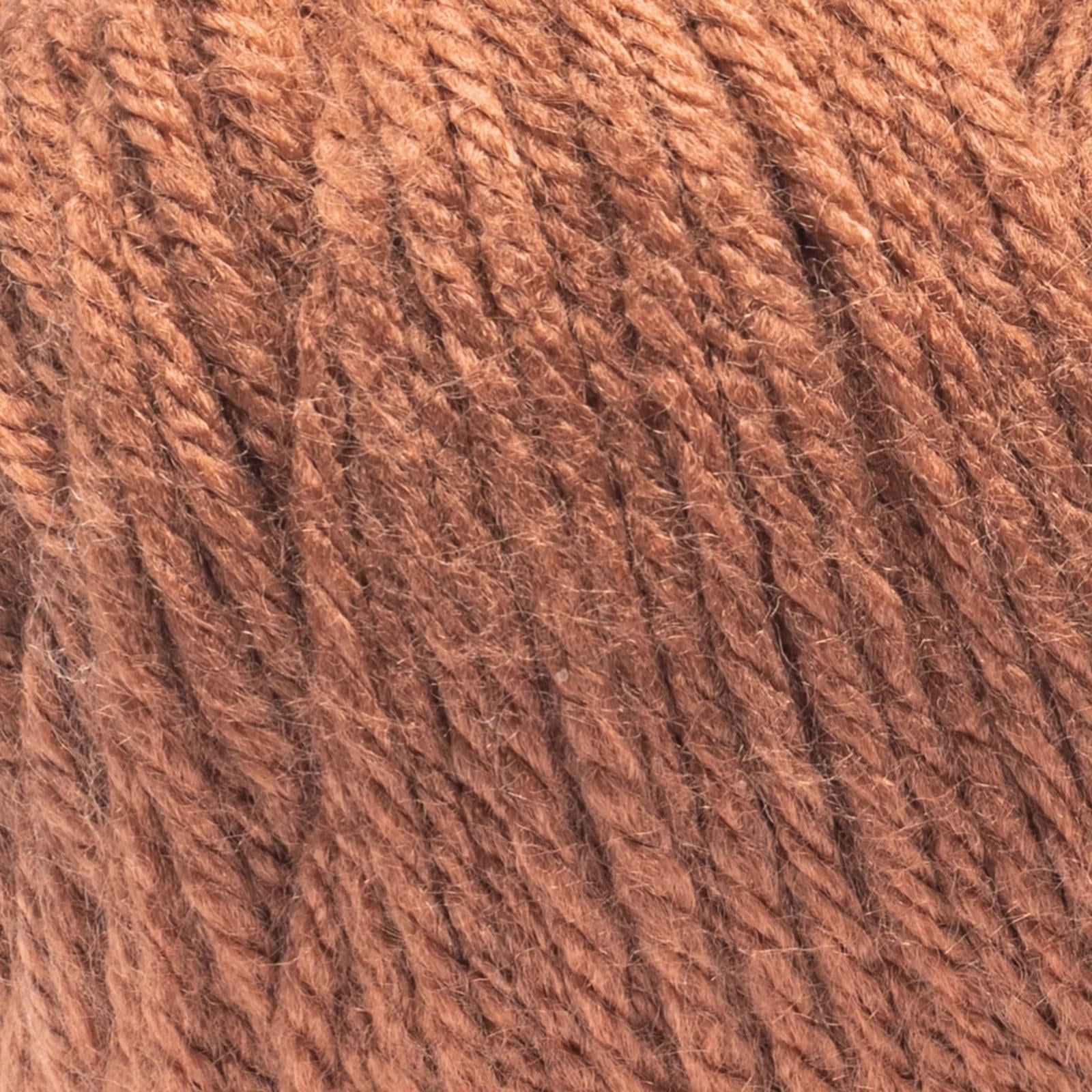 Caron® Simply Soft™ #4 Worsted (Medium) Acrylic Yarn, Sienna 6oz/170.1g 315 Yards