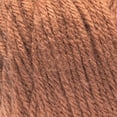 thumbnail image 2 of Caron® Simply Soft™ #4 Worsted (Medium) Acrylic Yarn, Sienna 6oz/170.1g 315 Yards, 2 of 2