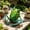 A, variant on Garden Outdoor Frog Statue Decor, Metal Frog Yard Art, Cute Frog Sculpture Lawn Ornaments for Backyard Pond Patio Porch Outside Decorations,Birthday Gifts for Women Mom Grandma