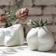 thumbnail image 2 of Moyic Macetas blancas para la decoración del hogar Adornos de decoración útiles y prácticos para la decoración del hogar Maceta Jardín y Patio, 2 of 6