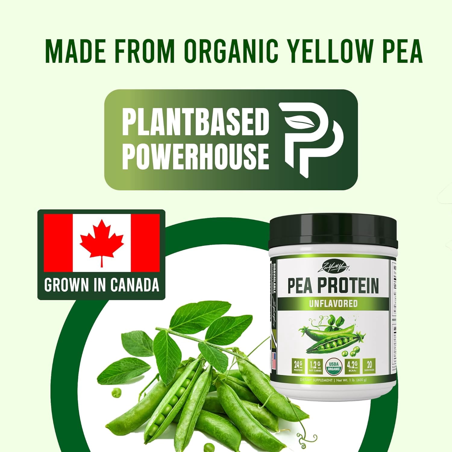 ZYY Pea Protein Powder - Organic Vegan Plant-Based, Unflavored & Unsweetened, Hydrolyzed for Easy Digestion, Keto, Low Carb, Dairy Free, Non-GMO, with BCAA