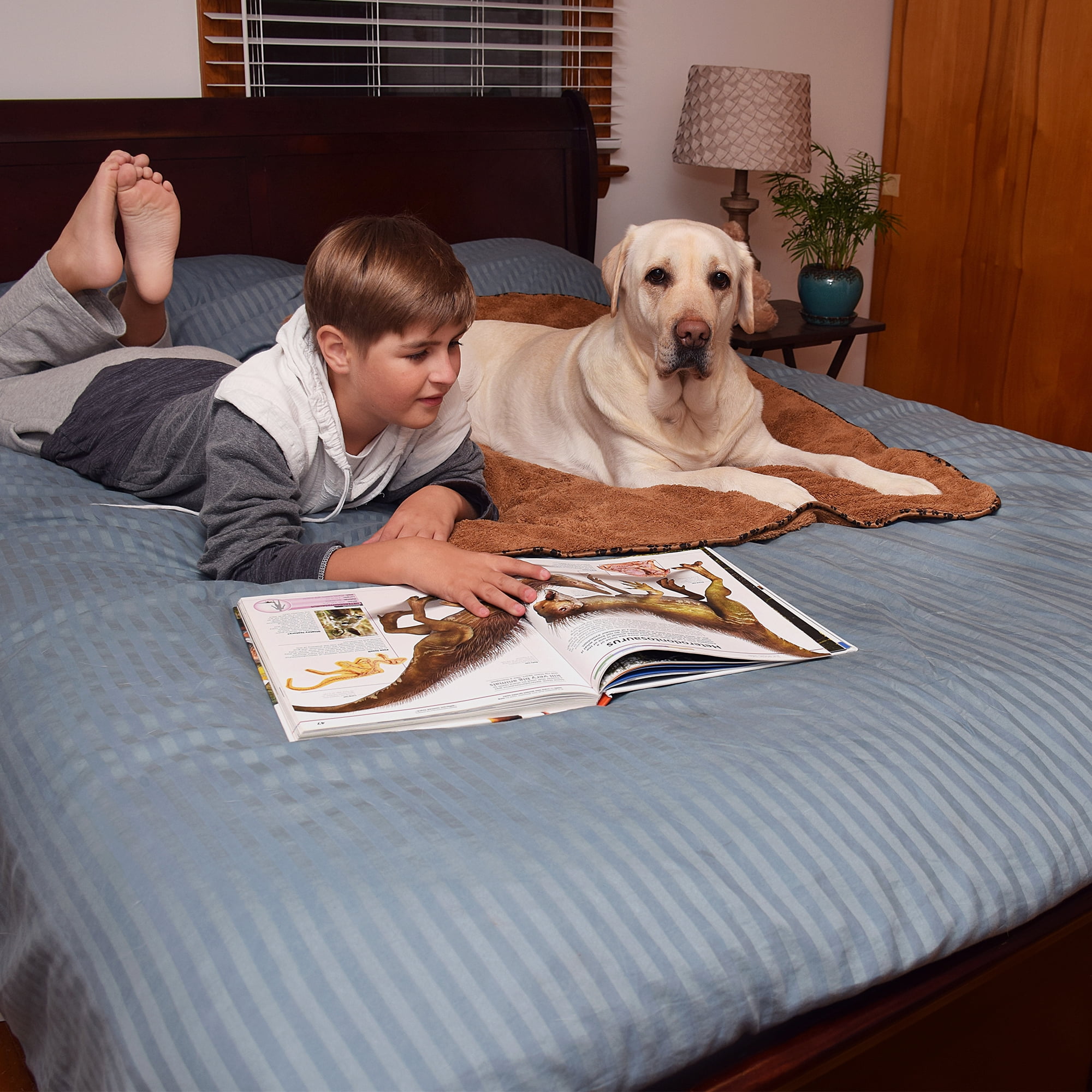 2 Pack Fleece Dog Blanket by Scrubit-Pets – Soft & Warm Pet Throw Blankets, Fluffy Paw Print Bed / Couch Cover for Dogs Cats and Puppies - Large Size (53 x 31.5)