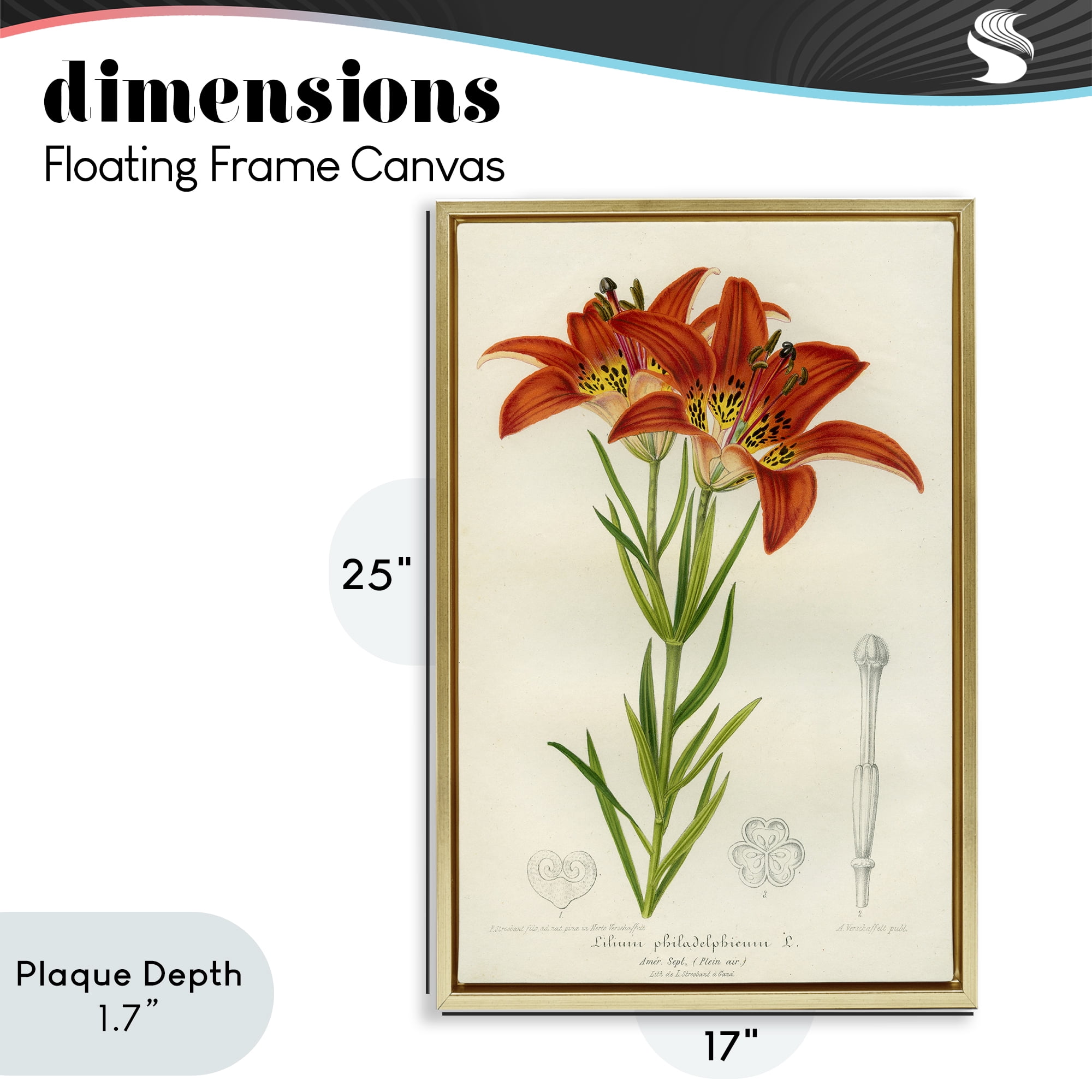 Stupell Industries Western Red Lily Gold Framed Floater Canvas Wall Art, design by Print Collection