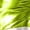 Green, variant on Womens Metallic Space Alien Shiny Robot Dress Carnival Outfits with Gloves Silver XXL