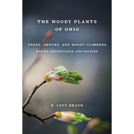 WOODY PLANTS OF OHIO : TREES, SHRUBS AND WOODY CLIMBERS