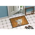thumbnail image 2 of Carolines Treasures LH9459MAT Chinese Crested Wipe your Paws Doormat 18x27 27"L x 18"W multicolor, 2 of 4