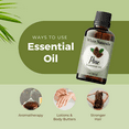 thumbnail image 5 of Organic Pine Essential Oil, Therapeutic Grade Pine Oil, Pure Vegan-Friendly Essential Oil for Diffuser, Energy Filling and Body-Relaxing Oil, 5 of 7
