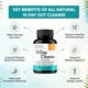 thumbnail image 3 of SANDHUS | 15 Day Cleanse | 30 cápsulas, 3 of 3