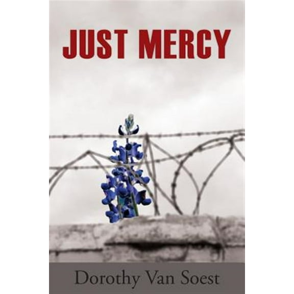 Pre-Owned Just Mercy (Paperback) 1627200223 9781627200226
