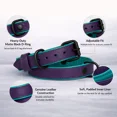 thumbnail image 3 of Collier pour Chien, Collier pour Chien Fait à la Main en Cuir Véritable – Violet avec Doublure Intérieure Turquoise, Boucle Ajustable - Buddies Collars, 3 of 5